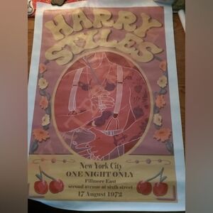 New Vintage Harry Style Music Watermelon Sugar Canvas Poster 25x17.5 1972
